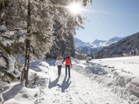 Winterwanderung im Tuxertal